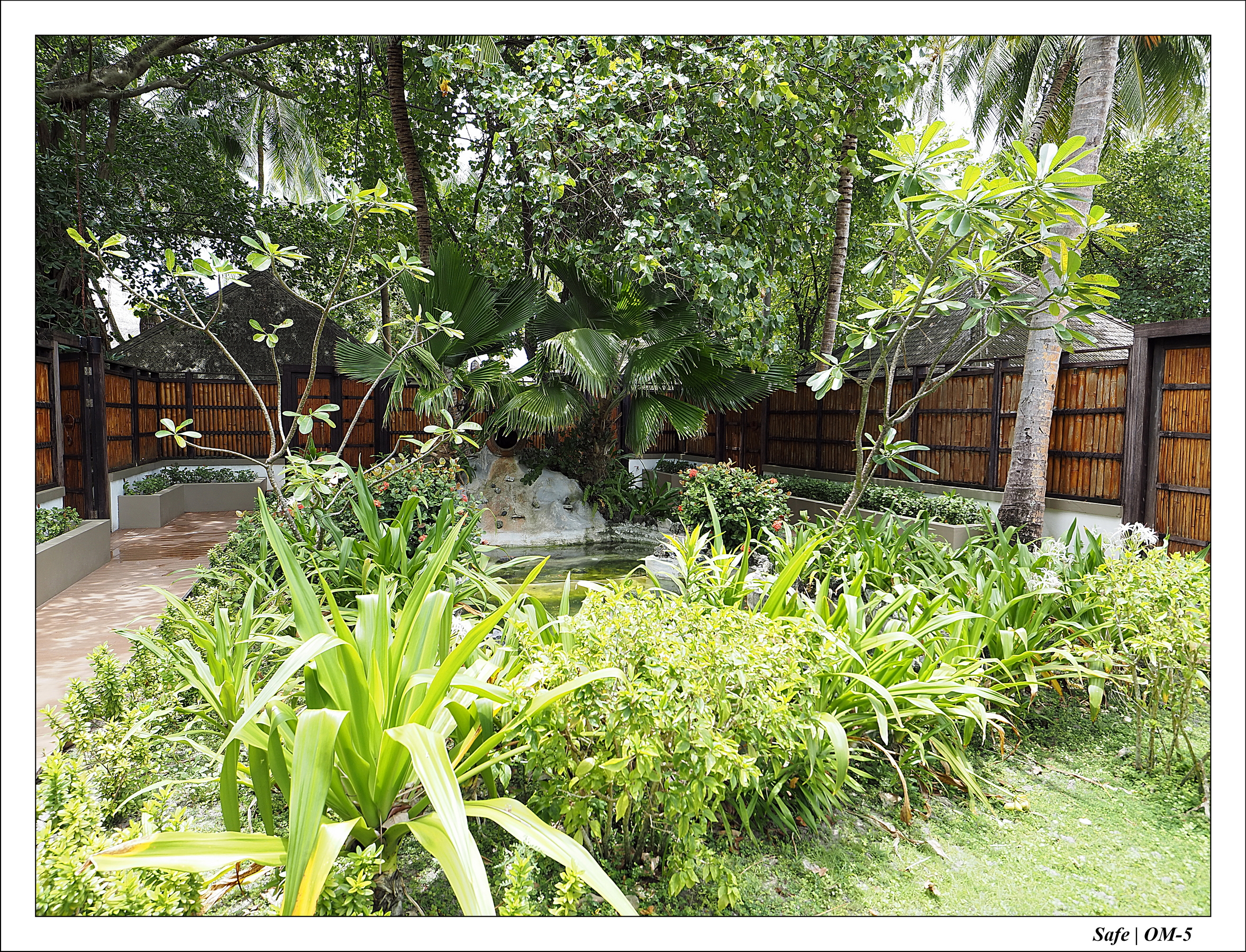 2024 - 08 -Angsana Velavaru - 48